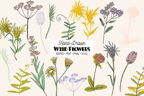 Colored Wild Flowers & Meadow Plant Fern: A Botanical Clipart Bundle for Modern Makers