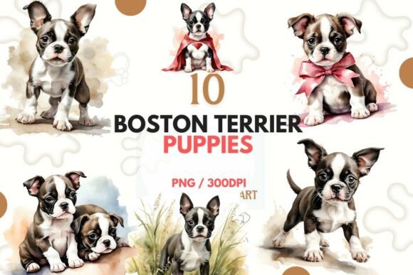 Cute Boston Terrier Puppy Clipart PNG: A Designer's Playful Toolkit