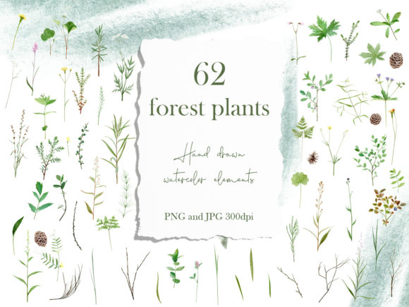 Designing with Nature: Using Watercolor Flower Stem Clipart