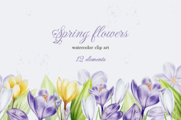 Spring Flowers Isolates: Fresh Design Assets for Your Projects