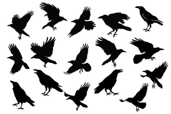Unleash Creative Power with the Crow SVG Bundle
